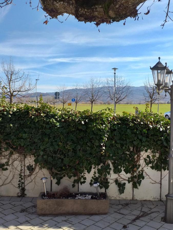 Hotel Landgasthof Adler 巴特克罗青根 外观 照片